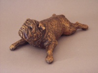 Visions West Gallery :: Bruce :: Frog Puppy