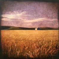 Visions West Gallery :: Bruce :: Summer Wheatfield