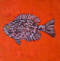 Visions West Gallery :: Bruce :: Pond Fish I