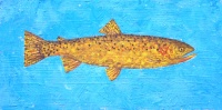 Visions West Gallery :: Bruce :: Hound Creek Trout, Blue