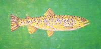 Visions West Gallery :: Bruce :: Hound Creek Trout, Green