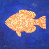 Visions West Gallery :: Bruce :: Pond Fish III
