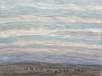 Visions West Gallery :: Bruce :: Greycliff Angus II