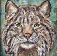 Visions West Gallery :: Bruce :: Cascade Bobcat