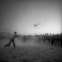 Visions West Gallery :: Bruce :: Roping a Cloud