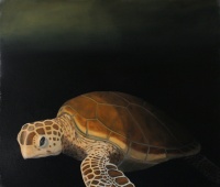 Visions West Gallery :: Bruce :: Hide Your Good Work