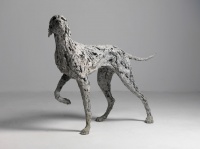 Visions West Gallery :: Bruce :: Pointer