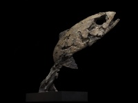 Visions West Gallery :: Bruce :: Leaping Fish