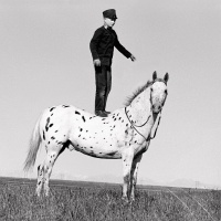 Visions West Gallery :: Bruce :: Hutterite Boy on Appaloosa Horse