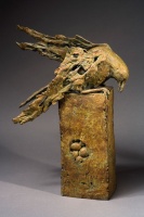 Visions West Gallery :: Bruce :: Bird on a Nest