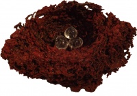 Visions West Gallery :: Bruce :: Red Nest 