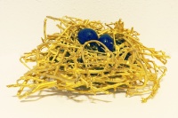 Visions West Gallery :: Bruce :: Gold Nest, 2 Blue Eggs