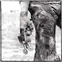 Visions West Gallery :: Bruce :: Hand and Spur