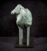 Visions West Gallery :: Bruce :: Equus Asia