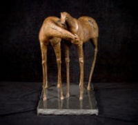 Visions West Gallery :: Bruce :: Future Horses