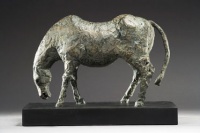 Visions West Gallery :: Bruce :: Old Horse AP