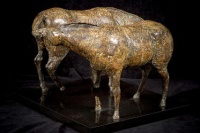 Visions West Gallery :: Bruce :: Qs Horses