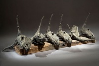 Visions West Gallery :: Bruce :: Six Bulls with Skulls AP
