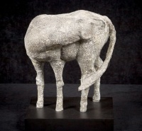 Visions West Gallery :: Bruce :: Small Rough Horse