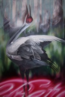Visions West Gallery :: Bruce :: Montana Sandhill Crane