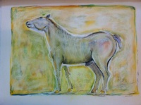 Visions West Gallery :: Bruce :: Sheep