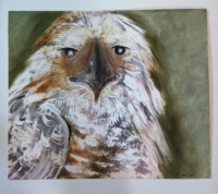 Visions West Gallery :: Bruce :: Bird 2