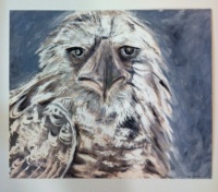 Visions West Gallery :: Bruce :: Bird 3