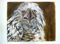 Visions West Gallery :: Bruce :: Bird 4