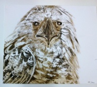 Visions West Gallery :: Bruce :: Bird 5