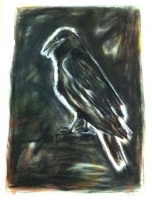 Visions West Gallery :: Bruce :: Bird 6