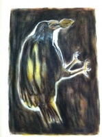 Visions West Gallery :: Bruce :: Bird 7