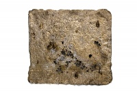 Visions West Gallery :: Bruce :: Blood Sweat and Tears