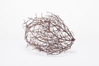 Visions West Gallery :: Bruce :: Brown Tumbleweed