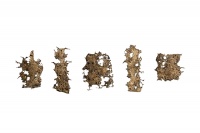 Visions West Gallery :: Bruce :: Fifty States of Mind Dimensions