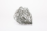 Visions West Gallery :: Bruce :: Green Tumbleweed