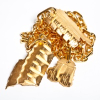 Visions West Gallery :: Bruce :: Rapper Jewelry