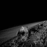 Visions West Gallery :: Bruce :: The Incident #2