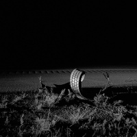 Visions West Gallery :: Bruce :: The Incident