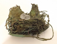 Visions West Gallery :: Bruce :: Green Nest, 2 Eggs