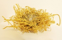 Visions West Gallery :: Bruce :: Gold Nest 