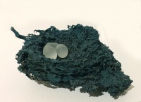 Visions West Gallery :: Bruce :: Nest (Turquoise), 3 Frosted Eggs
