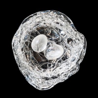 Visions West Gallery :: Bruce :: Glass Nest, 2 Eggs