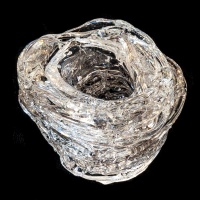 Visions West Gallery :: Bruce :: Glass Nest, 5 Eggs 