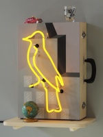 Visions West Gallery :: Bruce :: City Bird