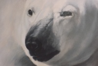 Visions West Gallery :: Bruce :: A Thousand Yard Stare