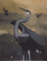 Visions West Gallery :: Bruce :: NW Systems (Heron)