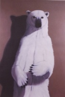 Visions West Gallery :: Bruce :: Up Against It 