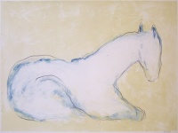 Visions West Gallery :: Bruce :: Forrest M1