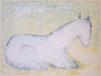 Visions West Gallery :: Bruce :: Forrest M3