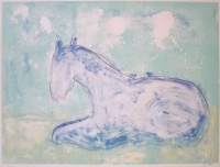 Visions West Gallery :: Bruce :: Forrest M7